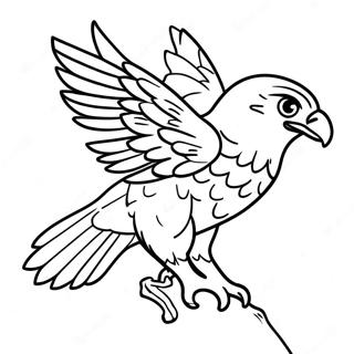 Hawk Coloring Page 10820-8587