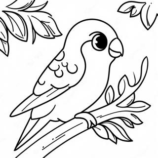 Parakeet Coloring Pages