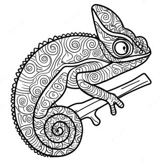 Chameleon Coloring Page 11160-8736