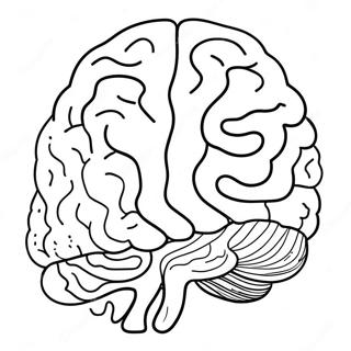 Brain Sheet Coloring Page 11660-9143