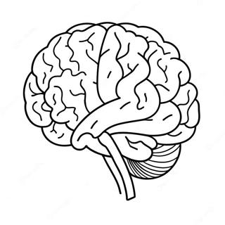 Creative Brain Coloring Page 11661-9138