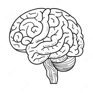 Creative Brain Coloring Page 11661-9139