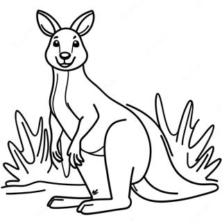 Kangaroo Coloring Pages