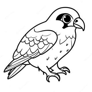 Peregrine Falcon Coloring Page 13720-10790