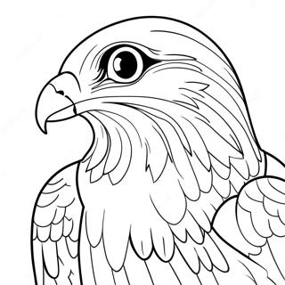 Peregrine Falcon Coloring Page 13720-10791