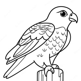 Peregrine Falcon Coloring Page 13720-10792