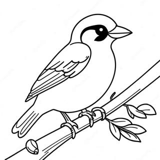 Orioles Coloring Pages