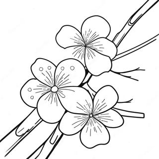 Sakura Blossom Coloring Page 14320-11262