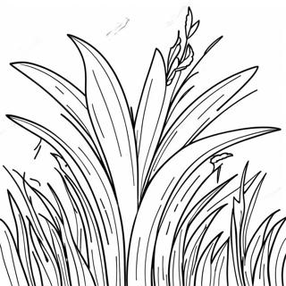 Grass Coloring Page 14860-11704