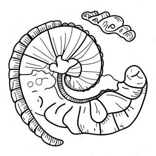 Fossil Coloring Pages