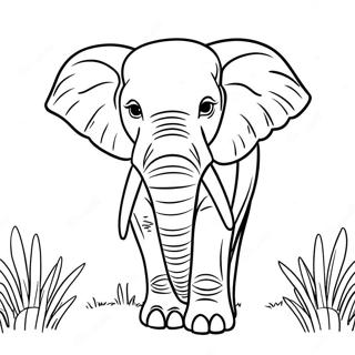 African Animals Coloring Pages