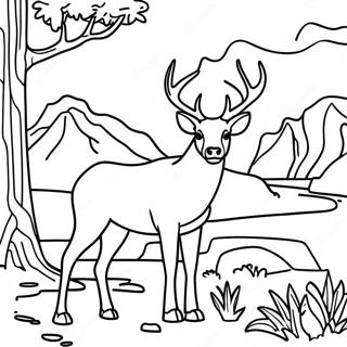 Majestic National Park Animals Coloring Page 16111-12694