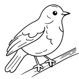 Robin Coloring Page 16240-12787