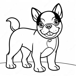 Boston Terrier Coloring Pages