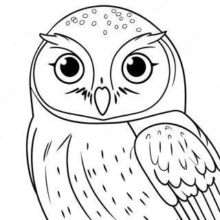 Hedwig Coloring Pages