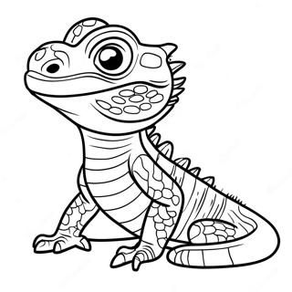 Bearded Dragon Coloring Pages