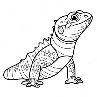 Bearded Dragon Coloring Page 16550-13044