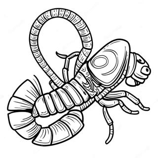 Realistic Scorpion Coloring Page 16581-13068