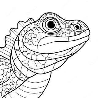 Reptile Coloring Pages