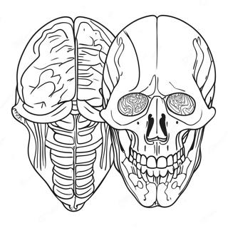 Anatomy And Physiology Coloring Page 17090-13478