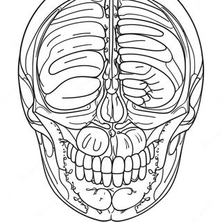 Anatomy And Physiology Coloring Page 17090-13480