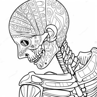 Anatomy And Physiology Coloring Pages