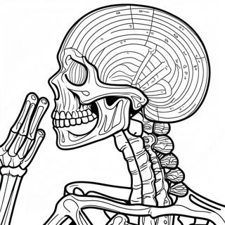 Detailed Human Skeleton Coloring Page 17091-13475