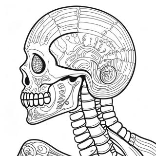 Detailed Human Skeleton Coloring Page 17091-13476