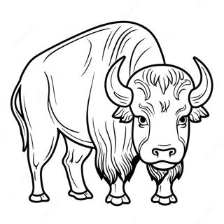 Buffalo Coloring Pages