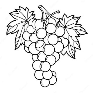 Grape Coloring Pages