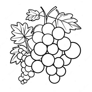 Grape Coloring Page 17230-13582