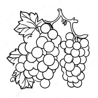 Grape Coloring Page 17230-13583