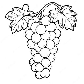 Grape Coloring Page 17230-13584