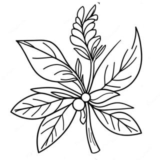 Mistletoe Coloring Pages