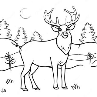 Elk Coloring Pages