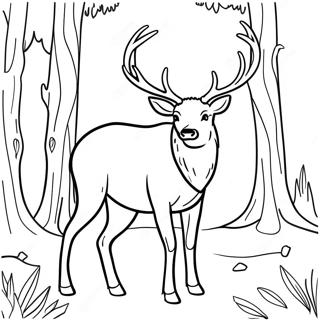 Majestueuze Elk In Het Bos Kleurplaat 18471-14578