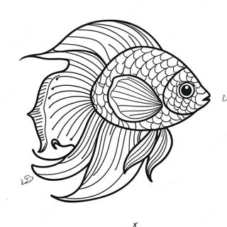 Beta Fish Coloring Pages