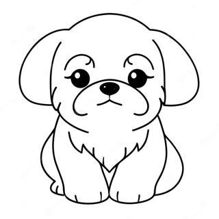 Shih Tzu Coloring Pages