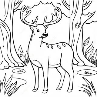 Buck Coloring Pages