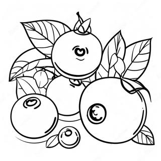 Blueberry Coloring Pages