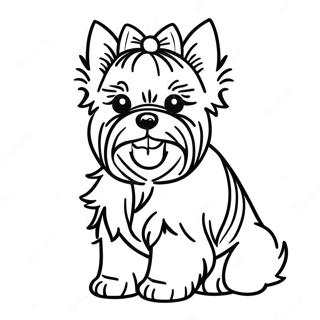 Realistic Yorkie Coloring Pages