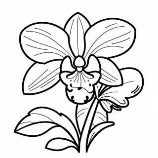 Orchid Coloring Pages