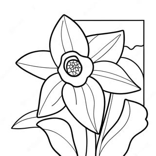 Daffodil Flower Coloring Page 22352-17667