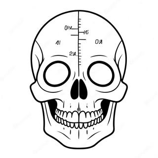 Simple Blank Skull Diagram Coloring Page 23043-18197