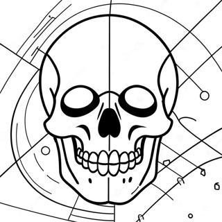 Simple Blank Skull Diagram Coloring Page 23043-18198