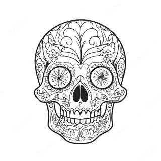 Simple Blank Skull Diagram Coloring Page 23043-18199