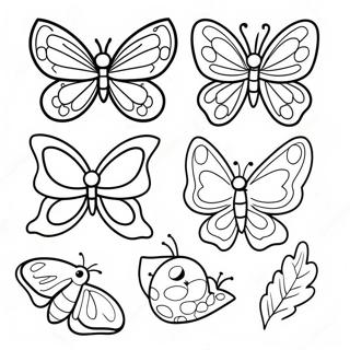 Life Cycle Of A Butterfly Coloring Page 24442-19322