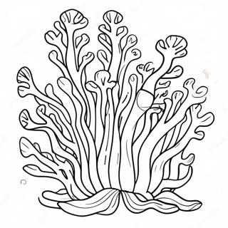 Seaweed Coloring Page 24642-19458