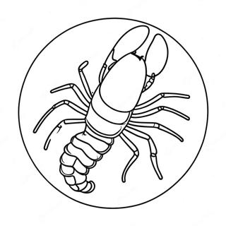 Scorpio Constellation Coloring Page 25573-20220