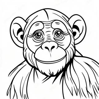 Chimpanzee Coloring Pages